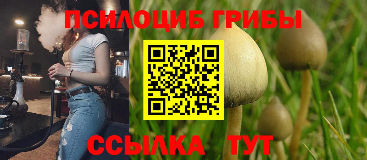 Галлюциногенные грибы ЛСД  Вход с VPN  Псилоцибиновые грибы MAGIC MUSHROOMS  Печора 