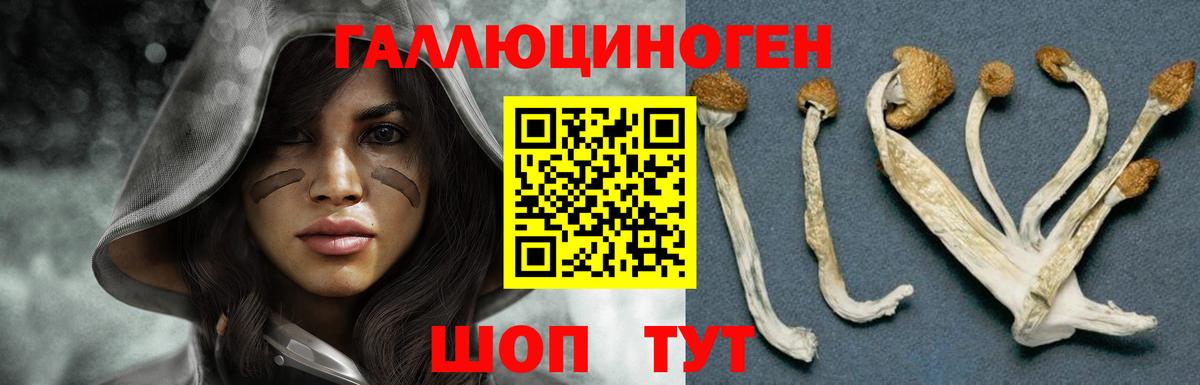 Галлюциногенные грибы прущие грибы Печора